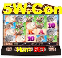 Hum Bet,Hum Bet Paga