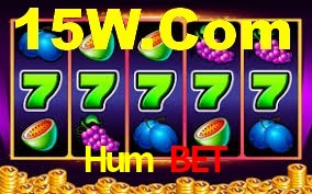 Explore as vantagens do Hum Bet: serviço profissional e confiabilidade